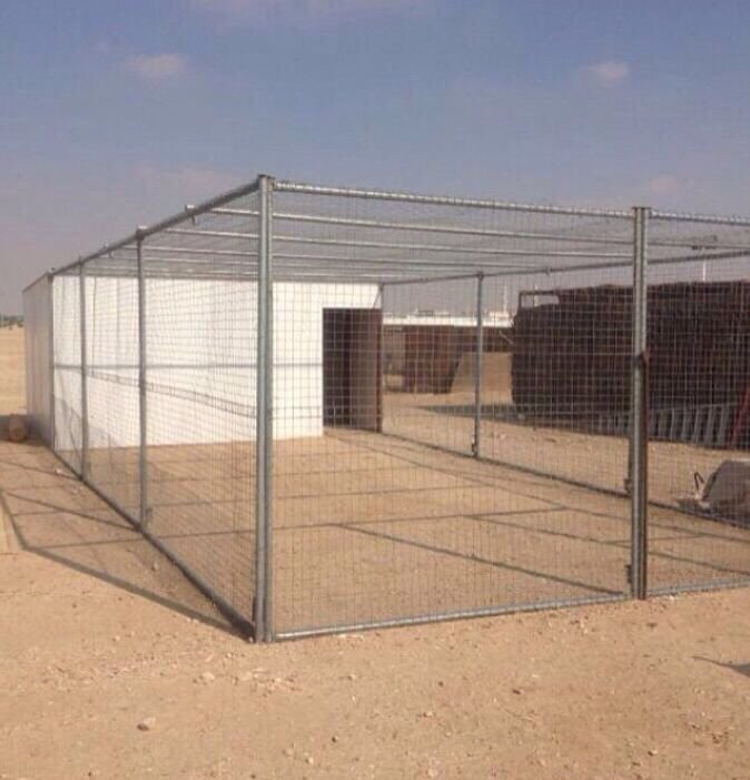 شبوك ابل